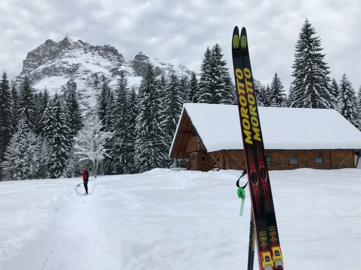 Lejlighed Chalet Delle Dolomiti Pieve di Cadore